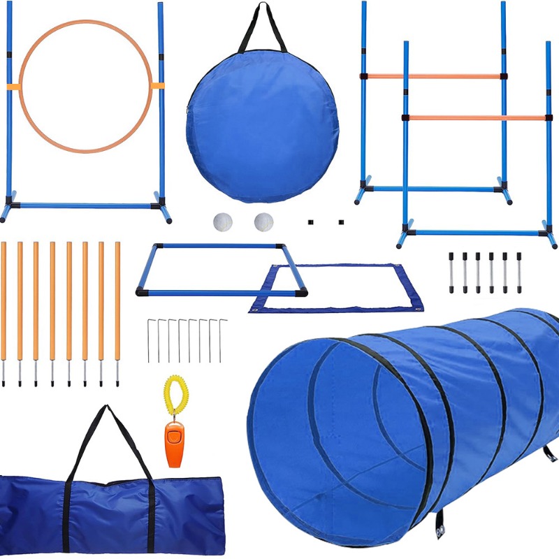 Agility Hurdle Set - Amazon Köpek Eğitim Ekipmanları Köpek Engel