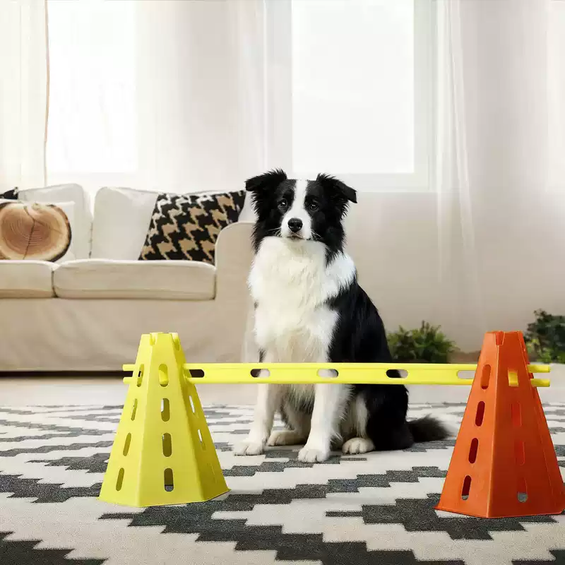 30CM Köpek Çeviklik Engel Seti - Agility Hurdle Set incelemesi ve fiyatı