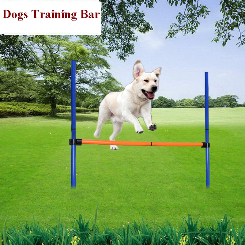 Pet köpek çeviklik ekipmanları - Agility Hurdle Set incelemesi ve fiyatı