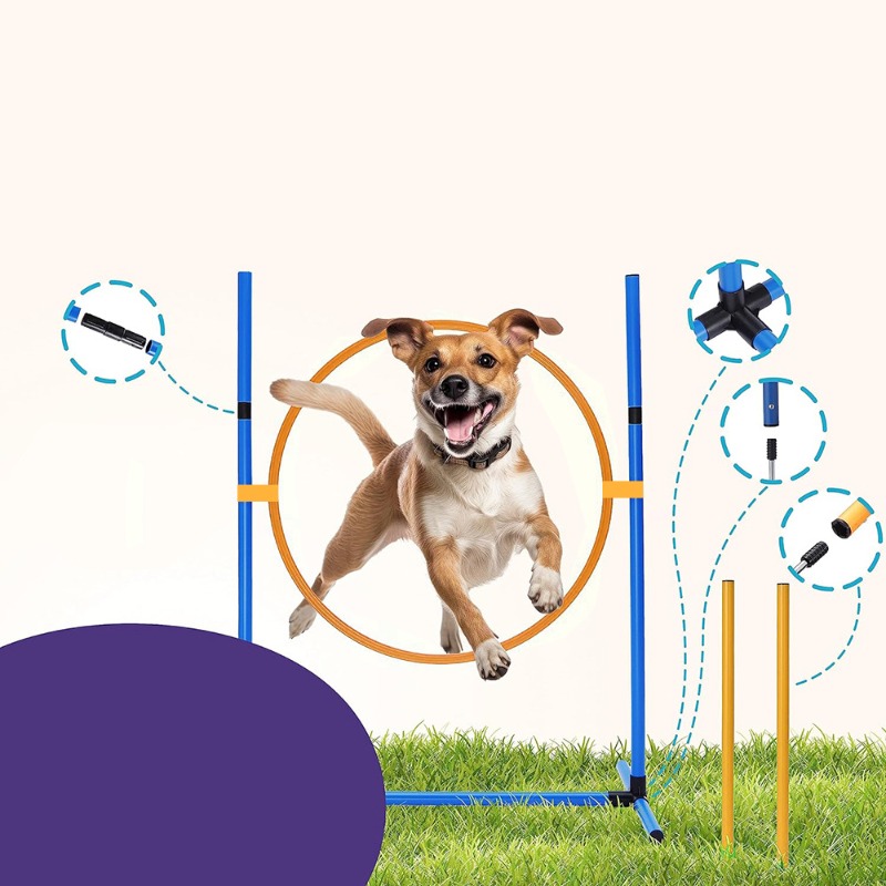 Amazon Köpek Eğitim Ekipmanlar - Agility Hurdle Set incelemesi ve fiyatı