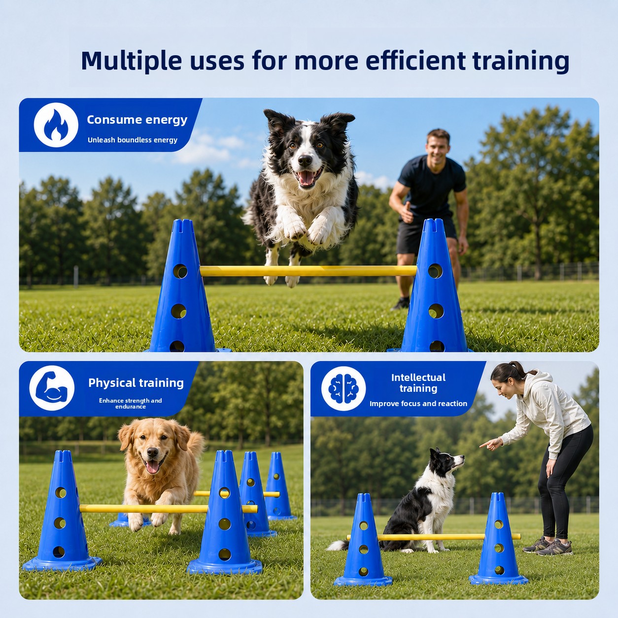 ZHAYA Köpek Çeviklik Eğitim Se - Agility Hurdle Set incelemesi ve fiyatı